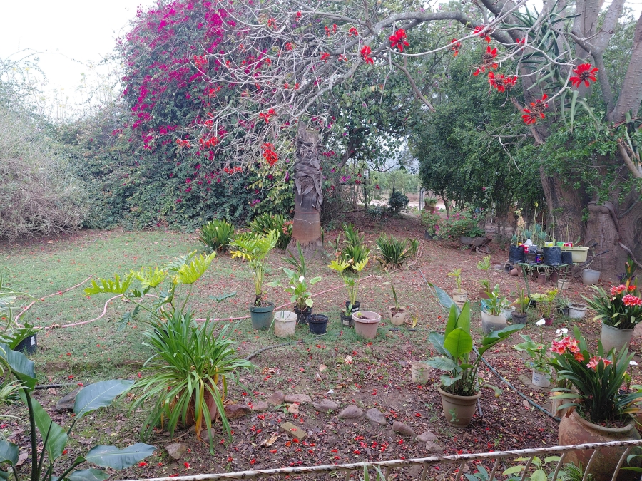 Commercial Property for Sale in Kruisrivier Eastern Cape